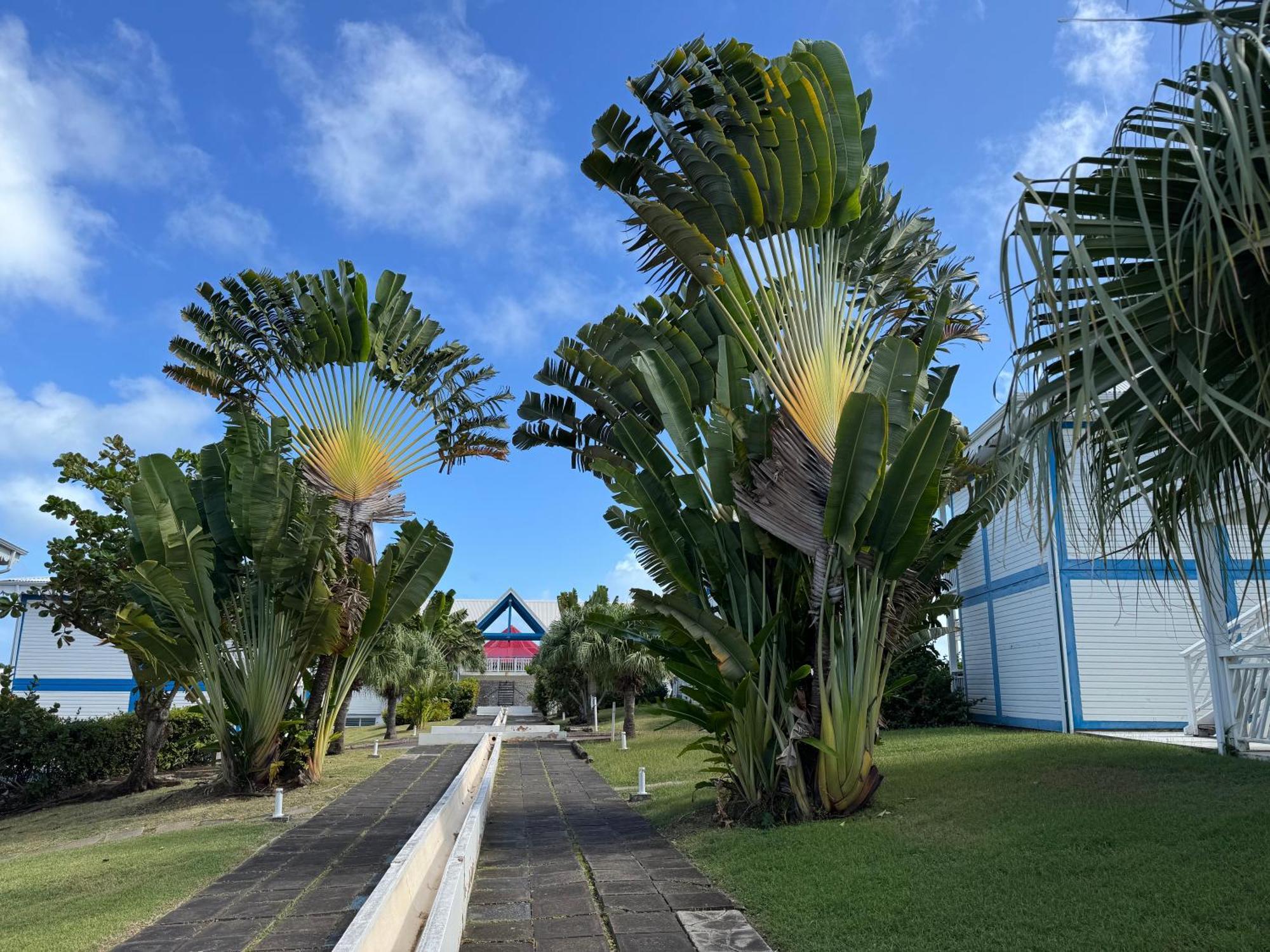Ticarbets T3 - Residence Manganao - En Bord De Plage Saint-Francois  Buitenkant foto